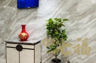 上海靜安豐盛商業中心店